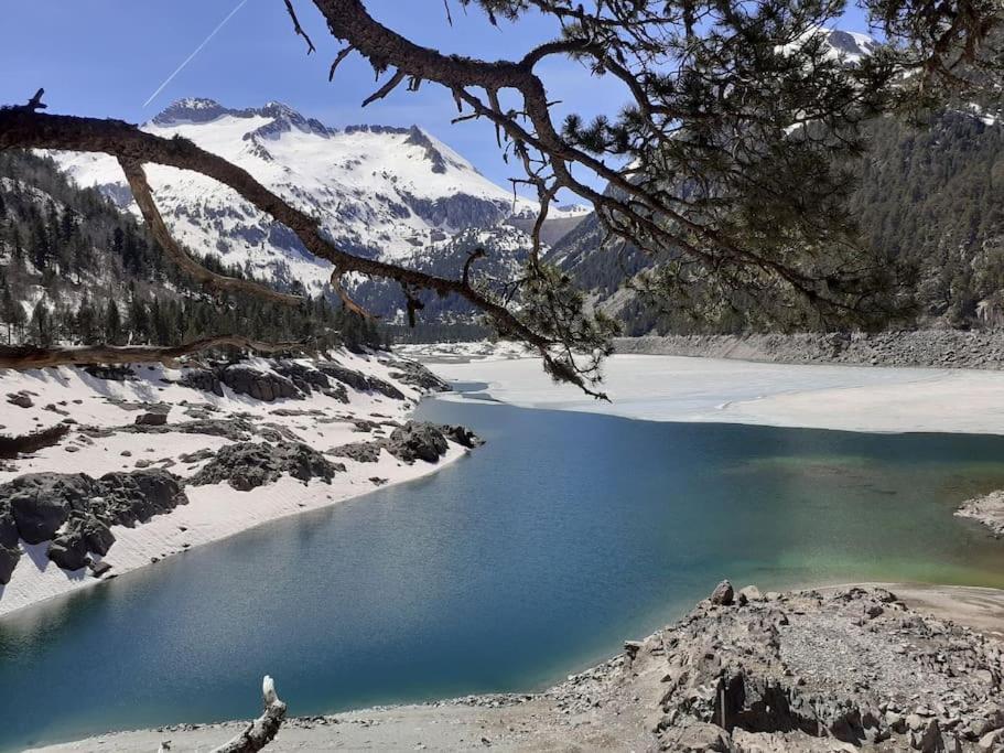 Saint Lary Ski, Rando, Thermes, Balades Et Repos ! Apartment Екстериор снимка