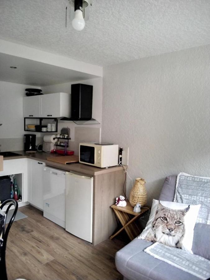 Saint Lary Ski, Rando, Thermes, Balades Et Repos ! Apartment Екстериор снимка