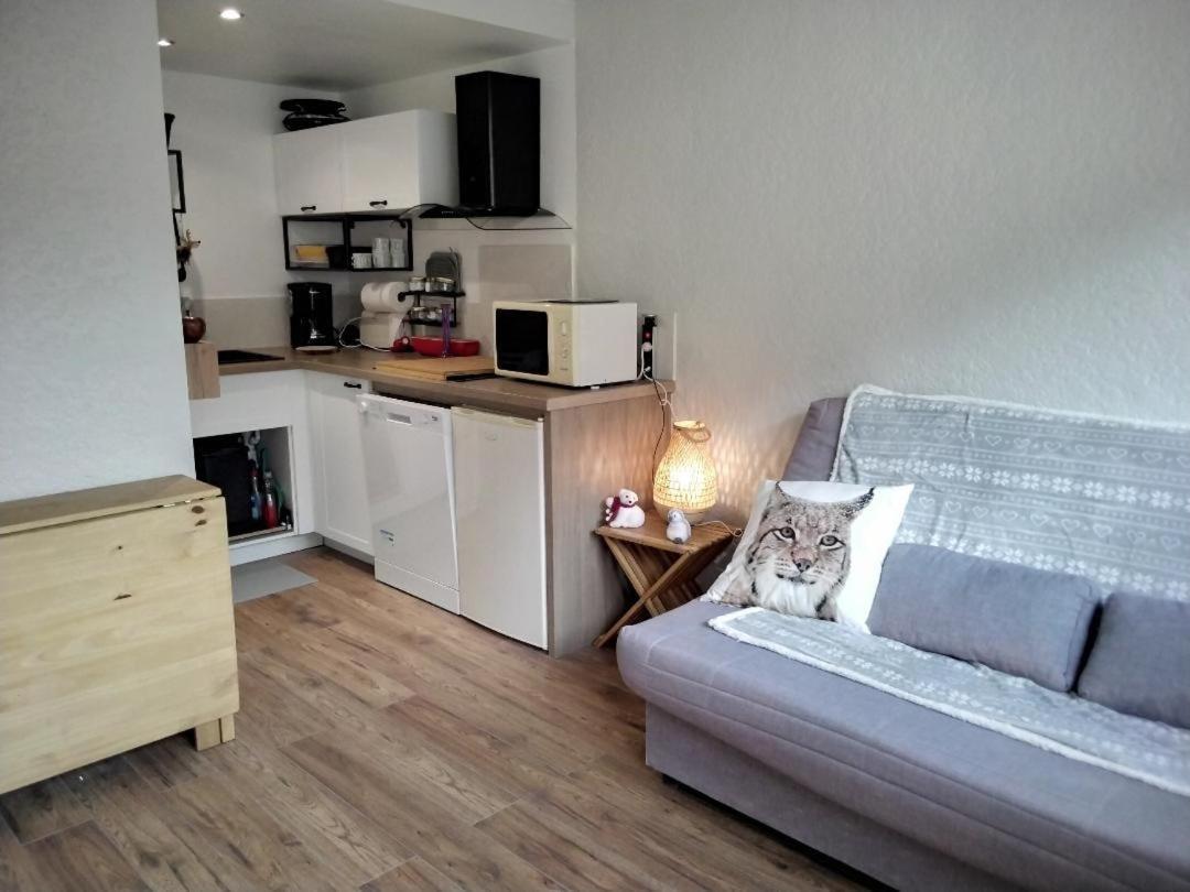 Saint Lary Ski, Rando, Thermes, Balades Et Repos ! Apartment Екстериор снимка